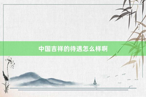中国吉祥的待遇怎么样啊