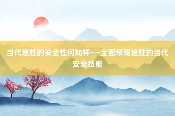 当代途胜的安全性何如样——全面领略途胜的当代安全技能